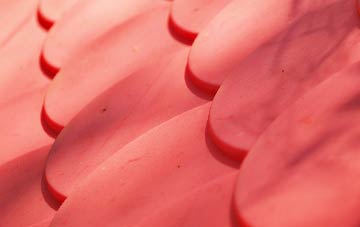 Cummersdale plastic roof costs